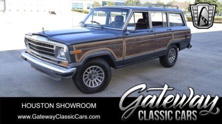 Photo 1 for 1989 Jeep Grand Wagoneer