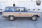 Thumbnail Photo 4 for 1989 Jeep Grand Wagoneer