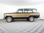 Thumbnail Photo 6 for 1989 Jeep Grand Wagoneer for Sale by Owner