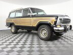 Thumbnail Photo 2 for 1989 Jeep Grand Wagoneer for Sale by Owner