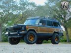 Thumbnail Photo 3 for 1989 Jeep Grand Wagoneer