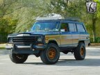 Thumbnail Photo 5 for 1989 Jeep Grand Wagoneer