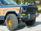 Thumbnail Photo 6 for 1989 Jeep Grand Wagoneer
