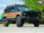 Thumbnail Photo 4 for 1989 Jeep Grand Wagoneer