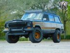 Thumbnail Photo 2 for 1989 Jeep Grand Wagoneer