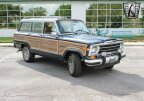 Thumbnail Photo 4 for 1989 Jeep Grand Wagoneer