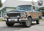 Thumbnail Photo 3 for 1989 Jeep Grand Wagoneer
