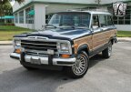 Thumbnail Photo 5 for 1989 Jeep Grand Wagoneer