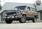 Thumbnail Photo 2 for 1989 Jeep Grand Wagoneer