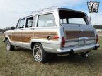 Thumbnail Photo 5 for 1989 Jeep Grand Wagoneer
