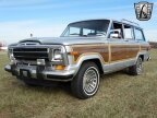 Thumbnail Photo 3 for 1989 Jeep Grand Wagoneer
