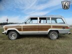 Thumbnail Photo 4 for 1989 Jeep Grand Wagoneer