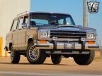Thumbnail Photo 6 for 1989 Jeep Grand Wagoneer