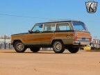 Thumbnail Photo 3 for 1989 Jeep Grand Wagoneer