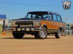 Thumbnail Photo 2 for 1989 Jeep Grand Wagoneer
