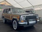 Thumbnail Photo 1 for 1989 Jeep Grand Wagoneer