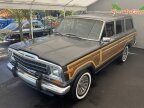 Thumbnail Photo 2 for 1989 Jeep Grand Wagoneer