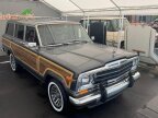 Thumbnail Photo 5 for 1989 Jeep Grand Wagoneer