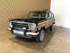 Thumbnail Photo 4 for 1989 Jeep Grand Wagoneer