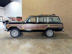Thumbnail Photo 6 for 1989 Jeep Grand Wagoneer