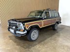 Thumbnail Photo 1 for 1989 Jeep Grand Wagoneer