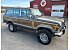 1989 Jeep Grand Wagoneer