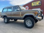 Thumbnail Photo 2 for 1989 Jeep Grand Wagoneer