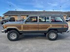 Thumbnail Photo 1 for 1989 Jeep Grand Wagoneer