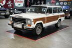 Thumbnail Photo 2 for 1989 Jeep Grand Wagoneer
