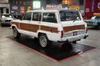 Thumbnail Photo 4 for 1989 Jeep Grand Wagoneer