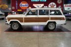 Thumbnail Photo 3 for 1989 Jeep Grand Wagoneer