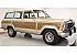 1989 Jeep Grand Wagoneer