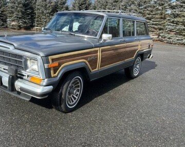 1989 Jeep Grand Wagoneer