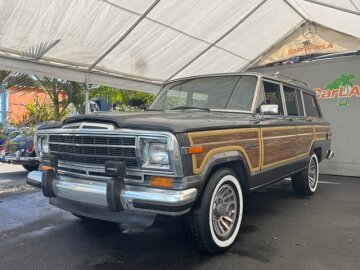 1989 Jeep Grand Wagoneer