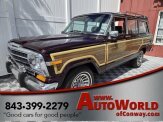 1989 Jeep Grand Wagoneer