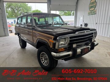 1989 Jeep Grand Wagoneer
