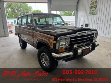1989 Jeep Grand Wagoneer