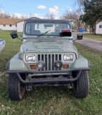 Thumbnail Photo 1 for 1989 Jeep Wrangler