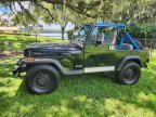 Thumbnail Photo 2 for 1989 Jeep Wrangler 4WD for Sale by Owner
