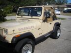 Thumbnail Photo 3 for 1989 Jeep Wrangler 4WD for Sale by Owner