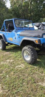 Thumbnail Photo 1 for 1989 Jeep Wrangler 4WD for Sale by Owner