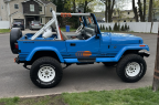 Thumbnail Photo 3 for 1989 Jeep Wrangler 4WD Islander for Sale by Owner