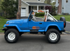 Thumbnail Photo 1 for 1989 Jeep Wrangler 4WD Islander for Sale by Owner