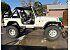 1989 Jeep Wrangler 4WD Rubicon