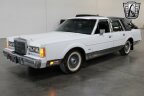 Thumbnail Photo 4 for 1989 Lincoln Town Car Signature