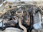 Thumbnail Photo 3 for 1989 Plymouth Gran Fury
