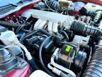 Thumbnail Photo 6 for 1989 Pontiac Firebird