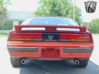 Thumbnail Photo 6 for 1989 Pontiac Firebird Formula