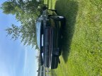 Thumbnail Photo 2 for 1989 Pontiac Firebird for Sale by Owner