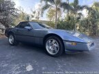 Thumbnail Photo 1 for 1990 Chevrolet Corvette Convertible